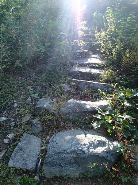 100 Steps Trail.