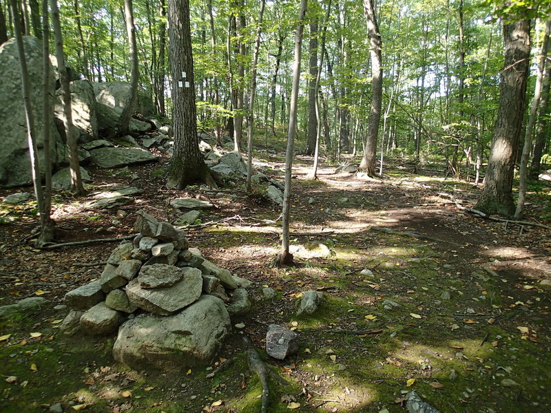 First trailhead for the White Trail.