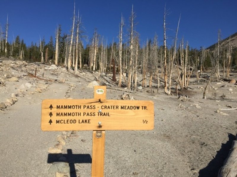 Mammoth Pass Trailhead sign