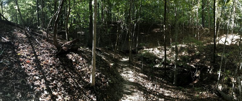 Fall light at the creek crossing.