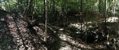 Fall light at the creek crossing.