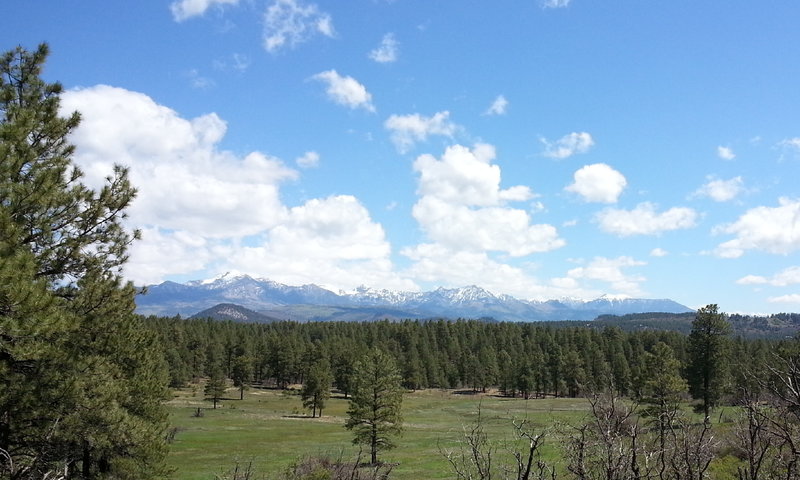 Pagosa Peak from USFS 309 in Turkey Springs Trails System.