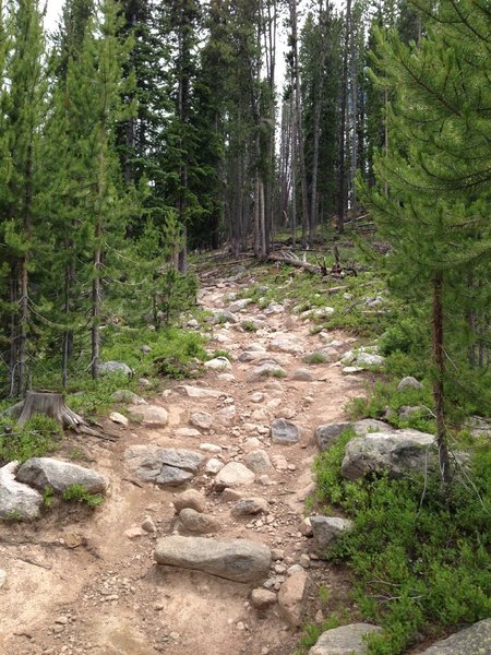 One of the rocky climbs while heading east to west.