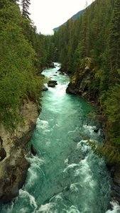 Fraser River, looking upstream near the start of the Overlander Falls Trail