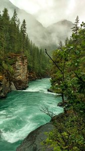 Fraser River, looking downstream from near Overlander Falls