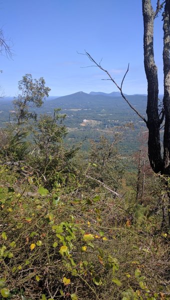 View looking east from the knob.