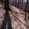 View of Big Merlin looking uphill from the switchback.