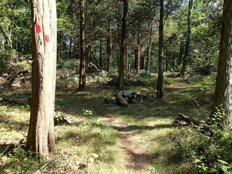 Trail junction with Yellow Trail.