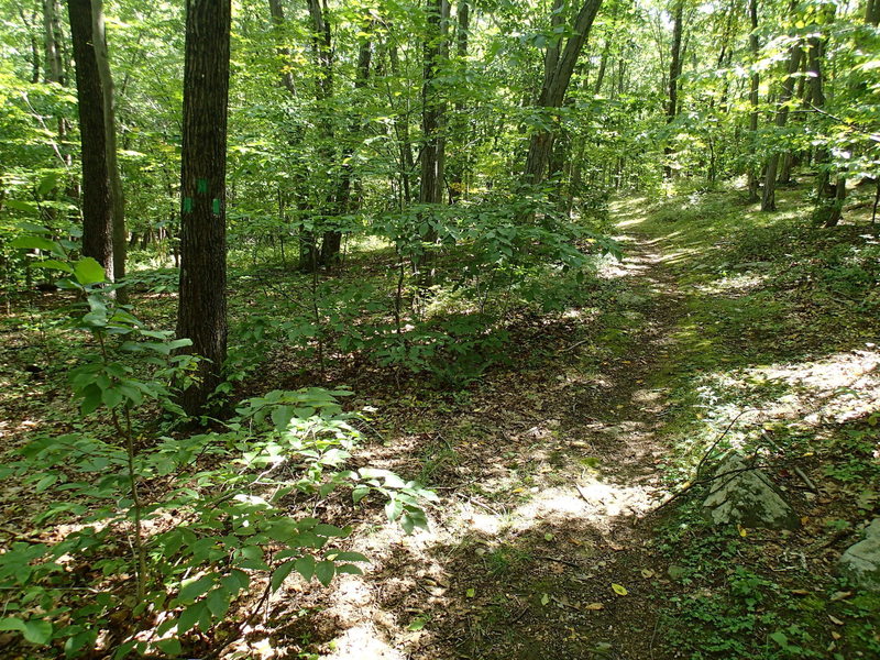 The start of the Green Trail.