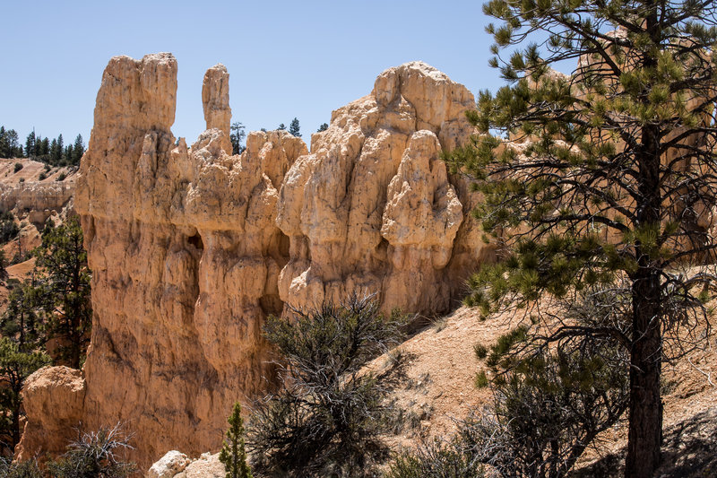 Rock formations at Fairyland Point.