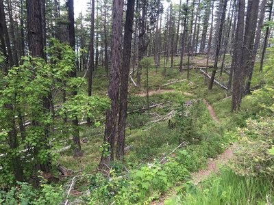 View toward the lake.