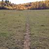 A beautiful open meadow just before the downhill starts on Crystal Springs