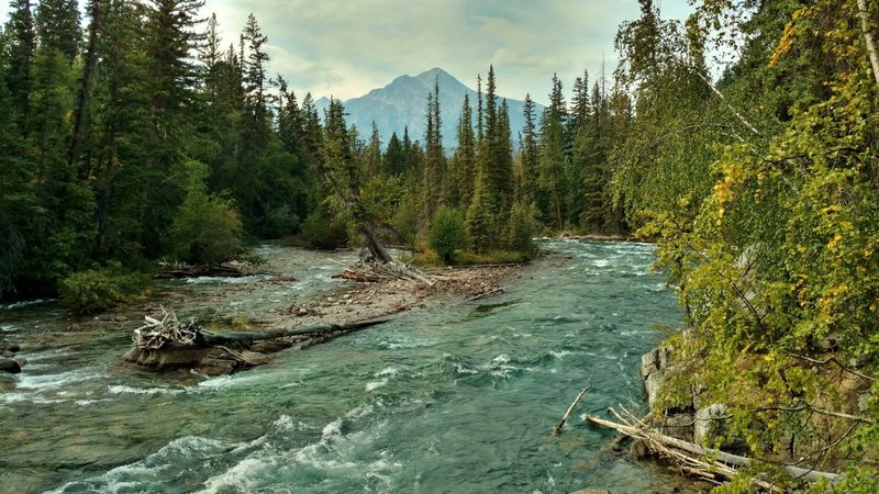 Maligne River between the 5th and 6th bridges of Maligne Canyon Trail.