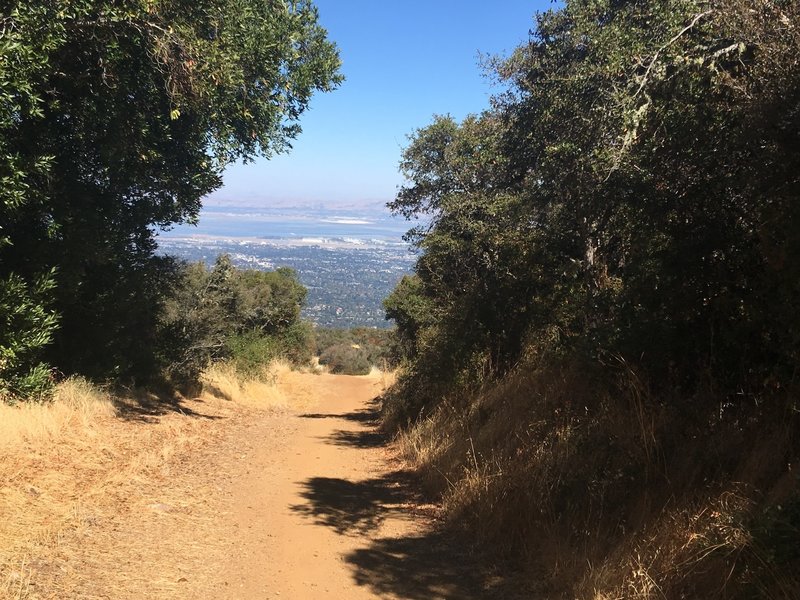 View of the South Bay from the Black Mountain Trail