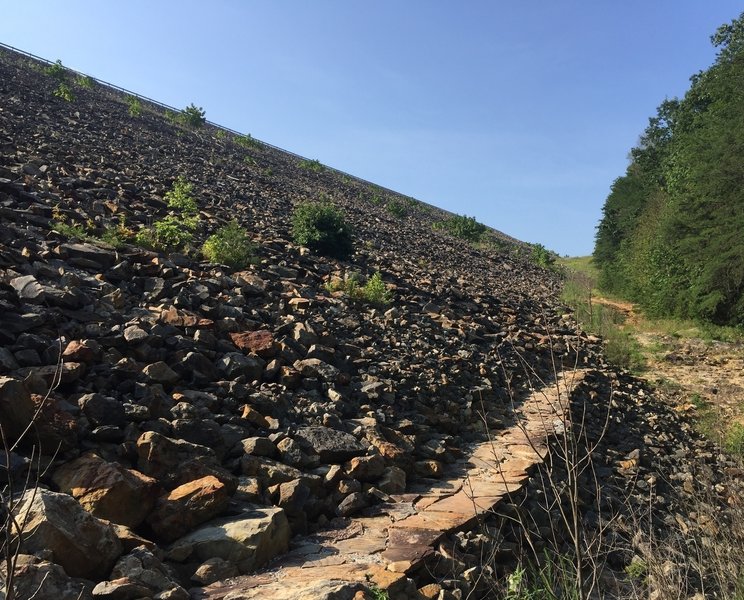 The back side of the levee makes you feel VERY small.