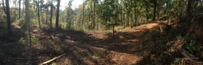 Intersection of Golf Course Loop (right) with Taylor Mountain Trail (left).