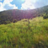 Beautiful mountain views from the Clark Spring Trail.