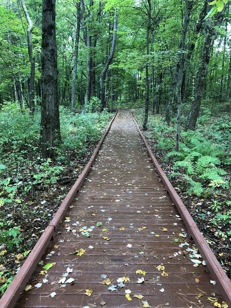 The boardwalk part of the trail makes its way through the woods. Interpretive signs provide information regarding the war in this area.