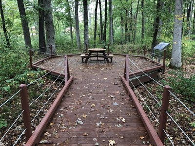 The picnic area at the end of the boardwalk.