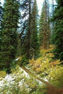 Sherbrooke Lake Trail climbs through the woods on a bright September morning