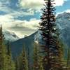 Views of the surrounding mountains emerge as one climbs on Paget Lookout Trail