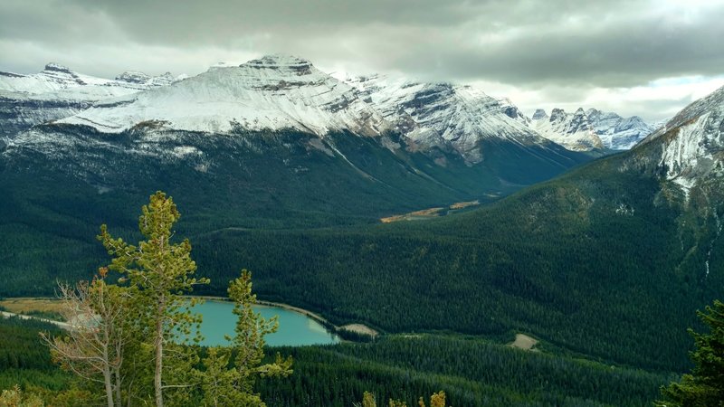 Wapta Lake with the Cataract Valley/O'Hara area and surrounding peaks, behind the lake, looking south from high on Paget Lookout Trail