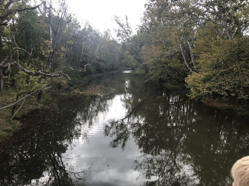 Overlook from the bridge