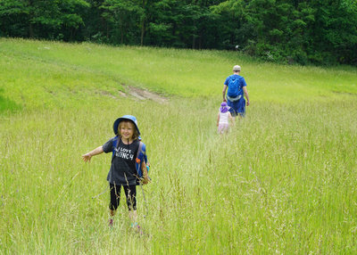 Grassy area by the lake