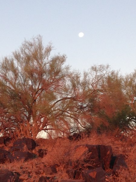 Moonset, at sunrise