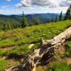 Meadow and View along the trail.