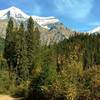 Mt. Robson in the distance, near the start of the Berg Lake Trail