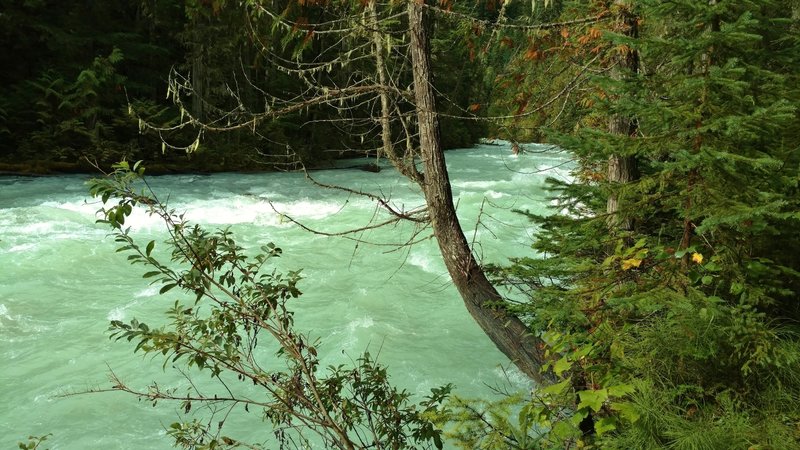 The silt laden Robson River flows swiftly along the Berg Lake Trail