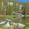 Morning reflections on pond along Big 5 Lakes Trail