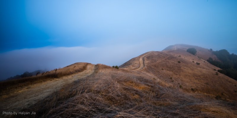 Rolling Hills extended into the fog.