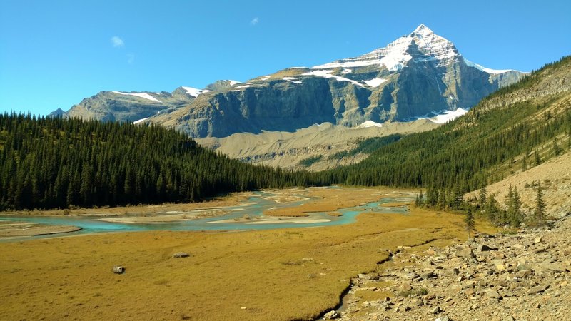 The turquoise Robson River meanders across the Berg Lake outlet flats, below Whitehorm Mountain