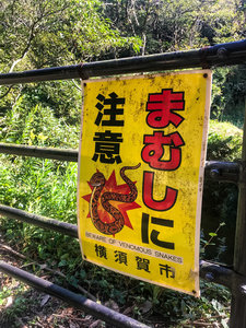 Beware of Venomous Snakes!!