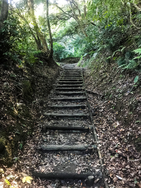 Some of the steps that are prevalent on Japanese hiking trails.