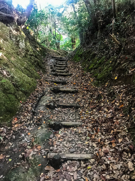 Looking up one of the sections of steps.