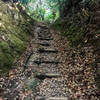 Looking up one of the sections of steps.