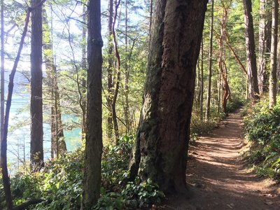 Typical trail section. Shady but with views of the water.