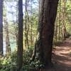 Typical trail section. Shady but with views of the water.