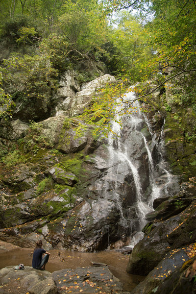 Cooling off at the base of the falls