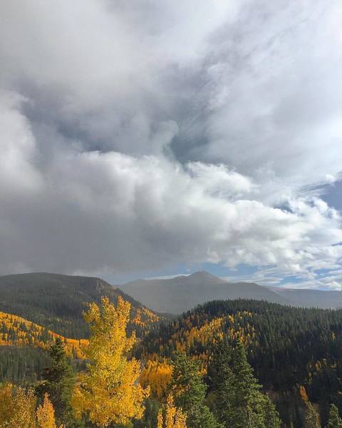 Along Boreas Pass.