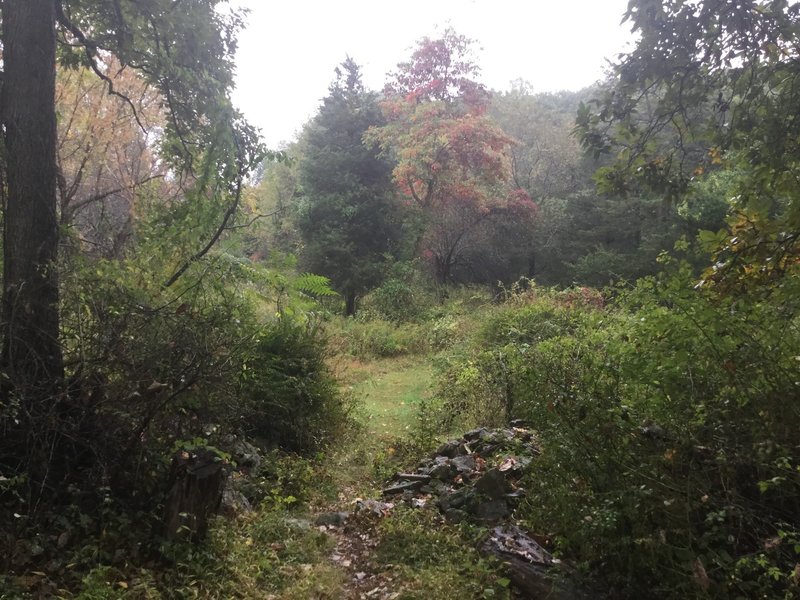 Entrance to Old Apple Orchard.