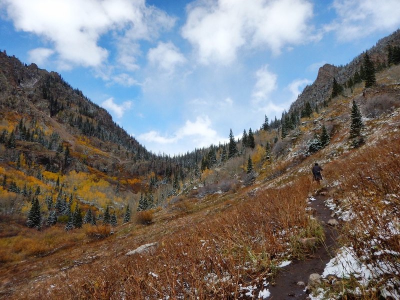 Booth Creek Trail up to the waterfall.