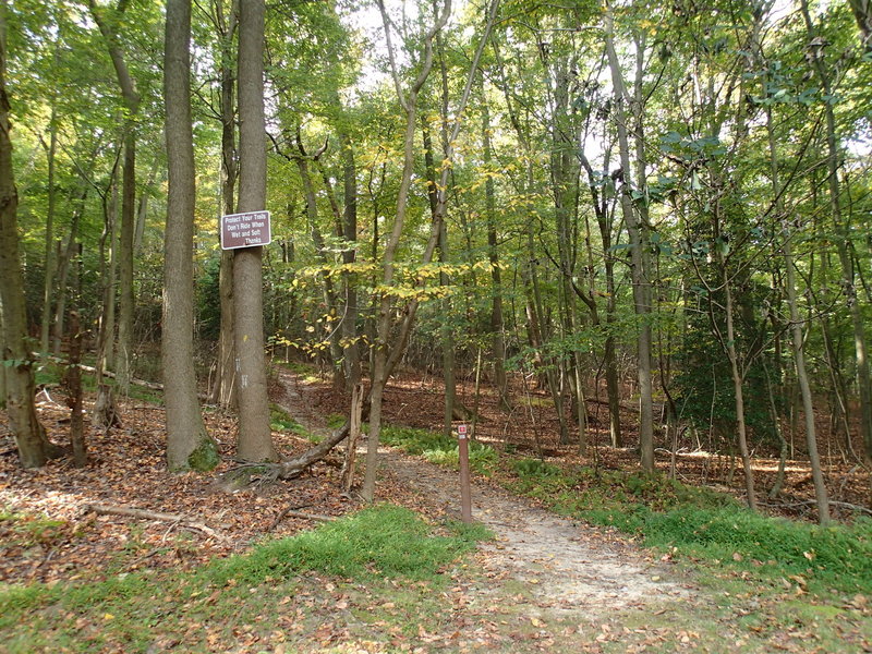 White Banks Trailhead