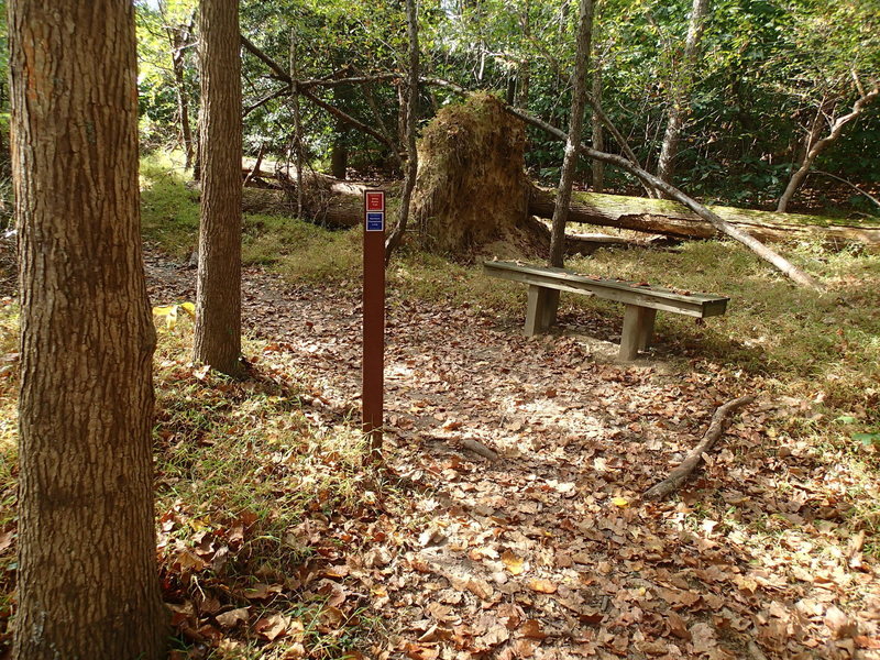 White Banks Trailhead