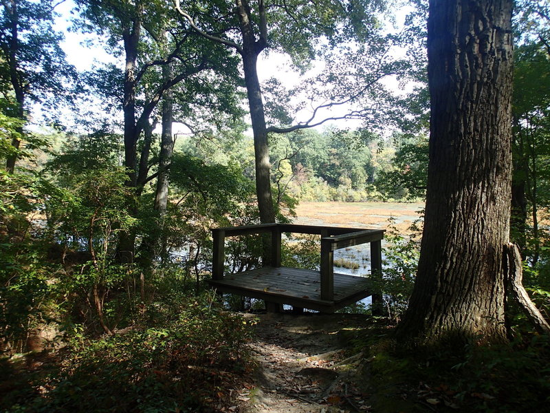 Observation platform overlooking Beaver Marsh