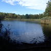 View of Wapiti Pond looking towards levee.