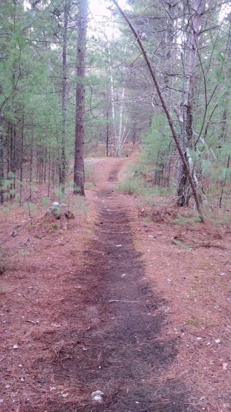 Make Believe winds through a pine forest and meanders over old stone walls.